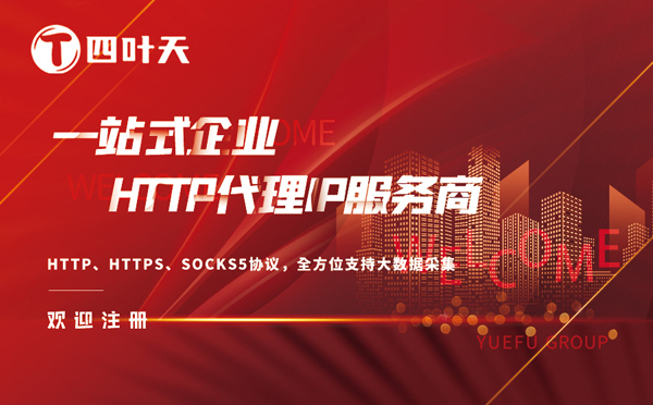 【哈尔滨代理IP】四叶天代理服务器（代理IP）的工作原理